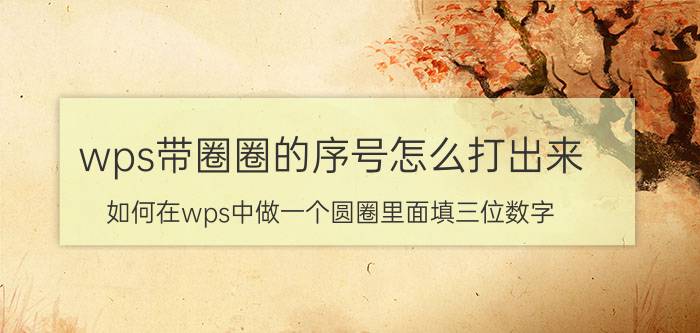 wps带圈圈的序号怎么打出来 如何在wps中做一个圆圈里面填三位数字？